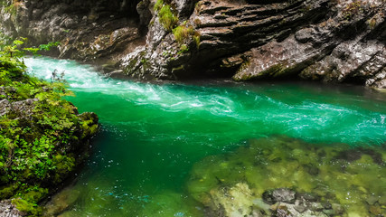 Canyon Blejski Vintgar, popular tourist destination in Triglav national park near bled lake.
