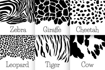 Set of animal seamless prints. Vector illustration. Zebra, cow, leopard, cheetah, tiger and girafe patterns collection in black and white colors in flat style.