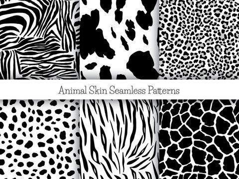 Set of animal seamless prints. Vector illustration. Zebra, cow, leopard, cheetah, tiger and girafe patterns collection in black and white colors in flat style.