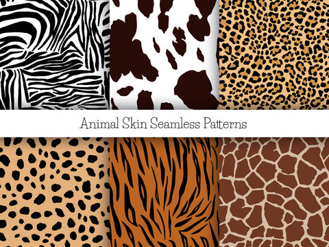 Set of animal seamless prints. Vector illustration. Zebra, cow, leopard, cheetah, tiger and girafe patterns collection in different colors in flat style.