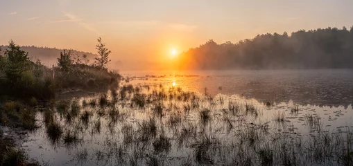 Fototapeten Sonnenaufgang über einem Teich im Grünland - Limburg, Belgien. Im Sommer geht die Sonne zwischen den Bäumen im Hintergrund auf. Etwas Nebel rundet das Bild ab. © krist