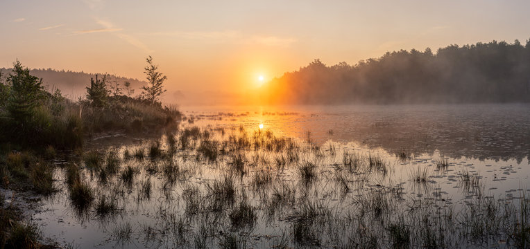 Sunrise over a pond in the grassland - Limburg, Belgium. In the summer the sun rises just between the trees in the background. A bit of fog completes the picture.