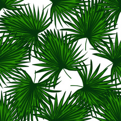 Fototapeta na wymiar Monstera leaf seamless pattern. Abstract exotic plant wallpaper.