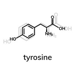 Tyrosine (Tyr) amino acid chemical formula