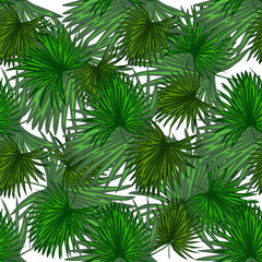 Monstera leaf wallpaper. Abstract exotic plant seamless pattern.