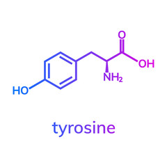 Tyrosine (Tyr) amino acid chemical formula