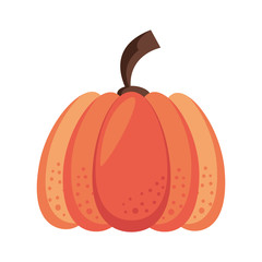 Autumn pumpkin vegetable cartoon
