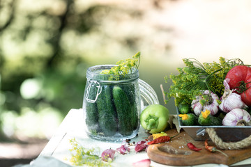 Harvest cucumbers. Fresh cucumbers in a glass jar, herbs and spices for pickling.