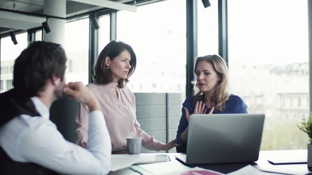 A group of business people with laptop sitting in an office, talking.