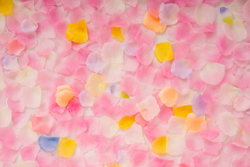Abstract background of petals