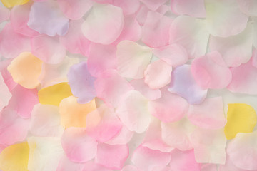 Abstract background of petals