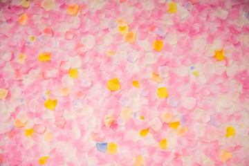Abstract background of petals