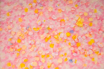 Abstract background of petals