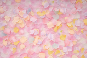 Abstract background of petals