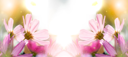Fototapeta premium Mock up Composition of colorful field of Cosmos Flower is planted.Beautiful flower in the park.Flower is love of couples on Valentine's Day.Soft And select Focus.