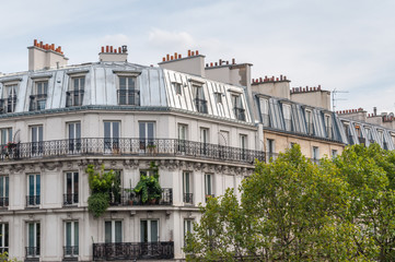 Fototapeta na wymiar Façades et toits de Paris