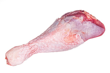 Raw turkey drumstick isolated on white background