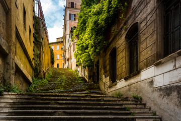 Fototapeta na wymiar Old cozy street in Rome, Italy.