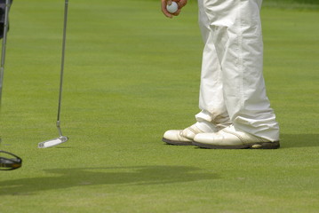 골프. 그린. 필드. 골프화. 잔디. 스포츠.