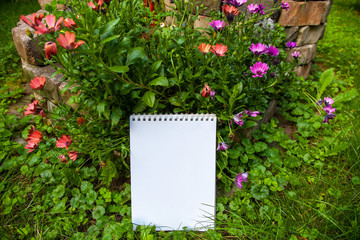Copy Space Malblock Spiralblock Papier zwischen Blumen und Gras im Garten