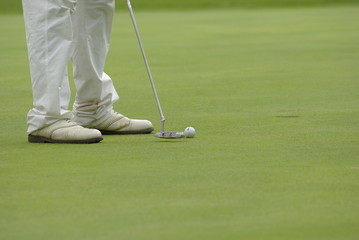 골프. 그린. 필드. 골프화. 잔디. 스포츠.