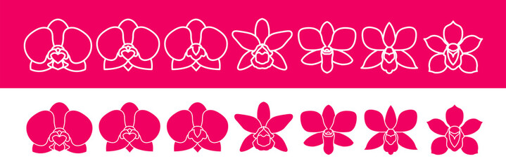 Premium grand Orchid design concept vector illustration.  © Creative_Bringer