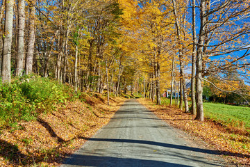 Fototapeta na wymiar Dirt unpaved gravel road at autumn day in Vermont, USA.