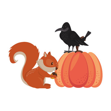 Wild animals and elements thanksgiving day and autumn season