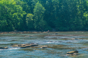 Fototapeta premium Fly fishing on a river