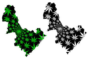 Naklejka premium Aust-Agder (Administrative divisions of Norway, Kingdom of Norway) map is designed cannabis leaf green and black, Aust-Agder fylke map made of marijuana (marihuana,THC) foliage,....