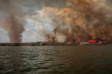 Forest on fire on the banks of the Xingu River, Amazon - Brazil