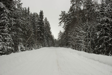 Black and white photo of a winter road in Russia