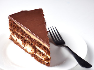A slice of delicious chocolate cake