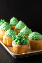 Bakery concept Homemade Sponge vanilla cupcake green tone buttercream on black background with copy space