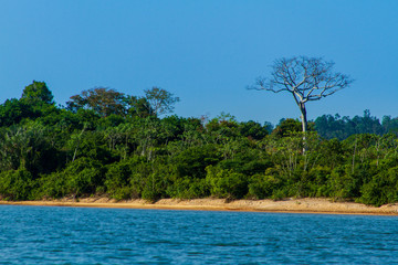 Fototapeta na wymiar Landscape on Xingu River, Amazon - Brasil
