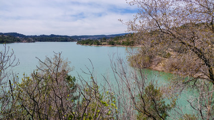 tree in the water - manavgat river