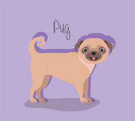 cute dog pug pet character