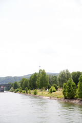 blick in hochkant auf die landschaft am rhein in koblenz am rhein fotografiert während einer schiffstour auf dem rhein an einem sonnigen tag