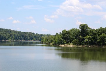 Fototapeta na wymiar The peaceful lake in the park on a sunny day.