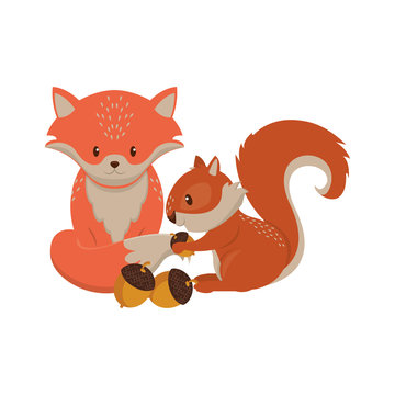 Cute fox and squirrel with nuts cartoons