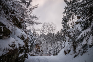 Winterlandschaft, Winterlandscape