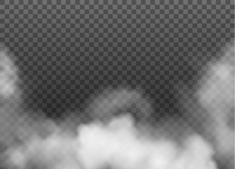 Fog or smoke isolated on transparent background. Vector.
