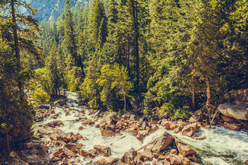 Yosemite National Park, California, USA