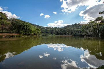 Reflections of Life