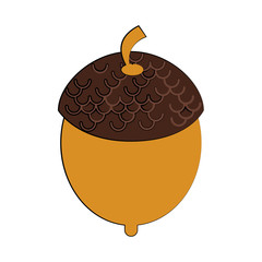 Nut autumn snack cartoon isolated