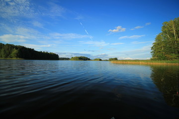 Summer lake background
