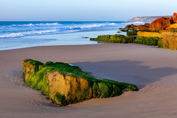 Algae on rock at a beautiful beach at the Algarve in Portugal 