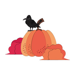 Wild animals and elements thanksgiving day and autumn season