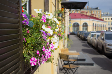 Fototapeta na wymiar Flowers on window. Two chairs and a table on the street near the house