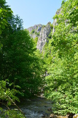 Varghis canyon - Romania